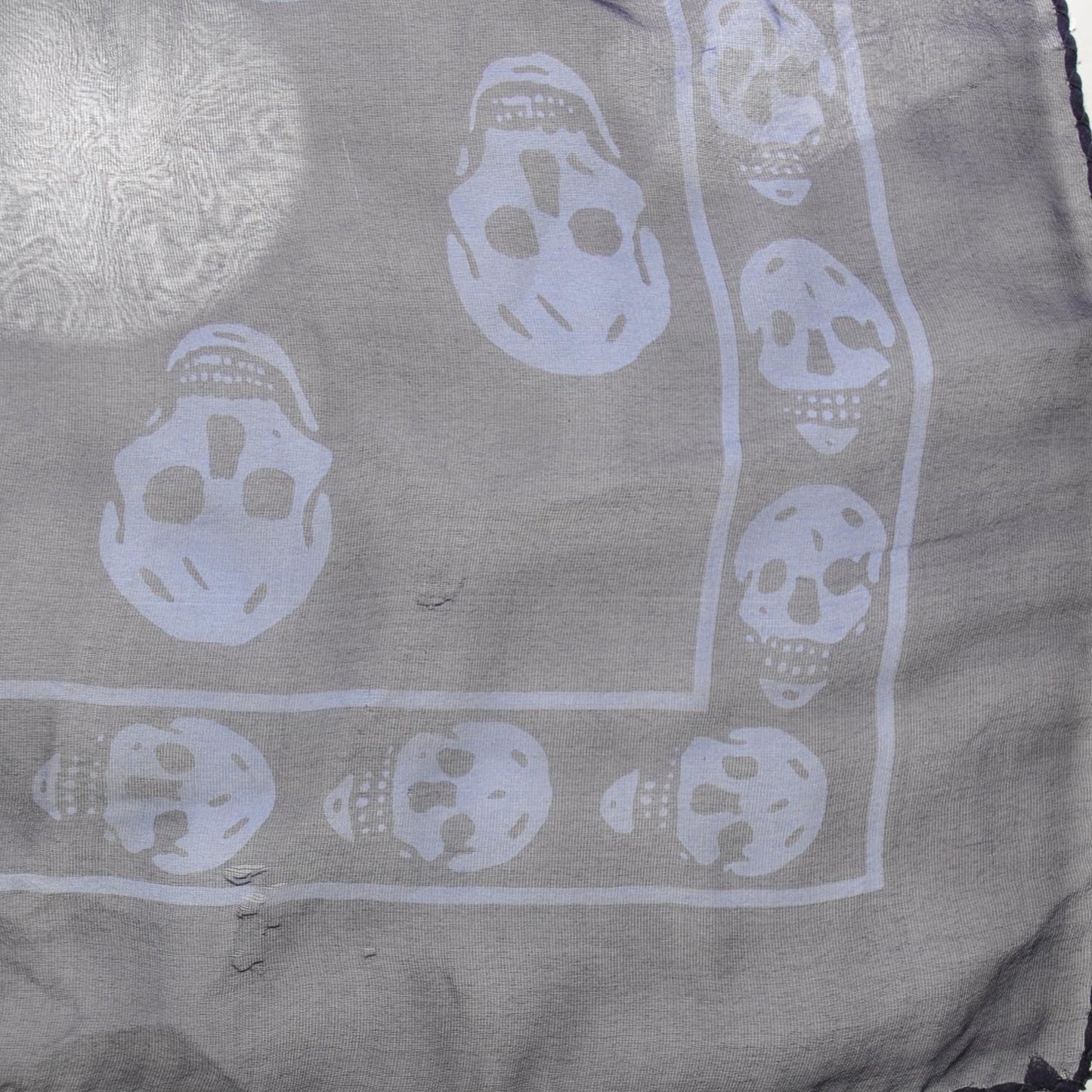 Silk Chiffon Skull Scarf Blue