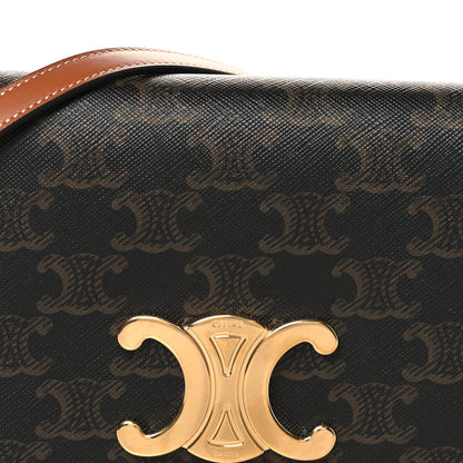 Celine Triomphe Canvas Multipochette Tan 8 of 11