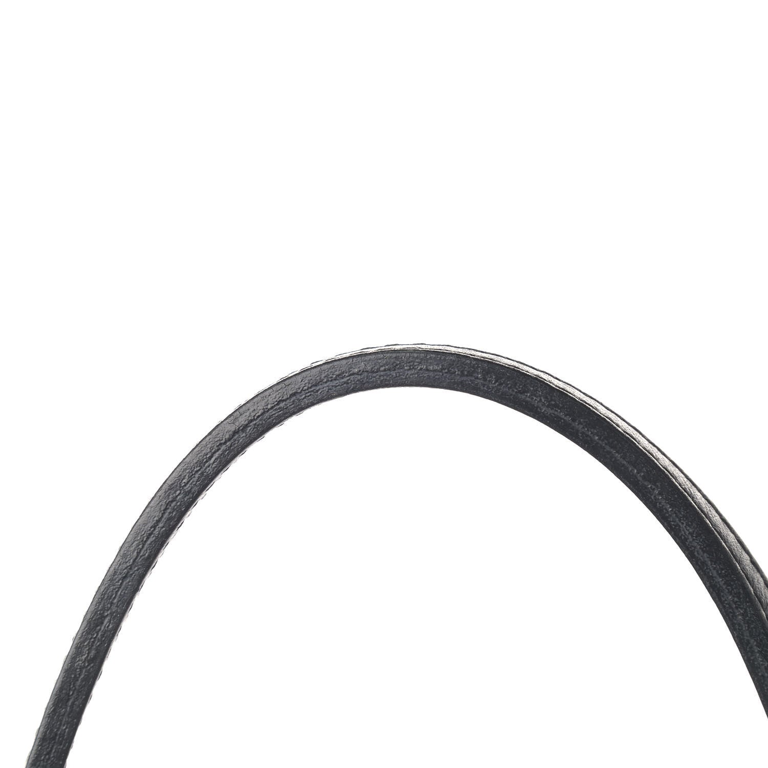 Goyard Goyardine Saint Louis PM Black 14 of 14