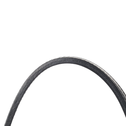 Goyard Goyardine Saint Louis PM Black 14 of 14