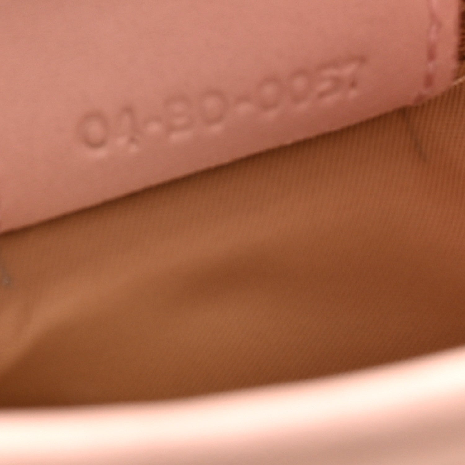 Christian Dior Nylon Monogram Lovely Hobo Rose Clair 7 of 23