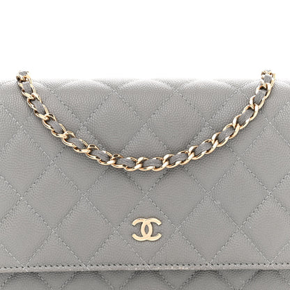 Chanel Caviar Quilted Wallet on Chain WOC Grey 9 of 12