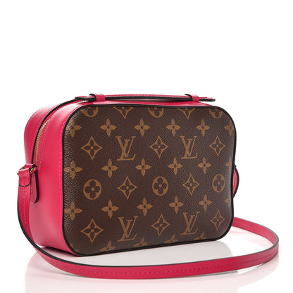 Louis Vuitton Monogram Saintonge Freesia 3 of 6