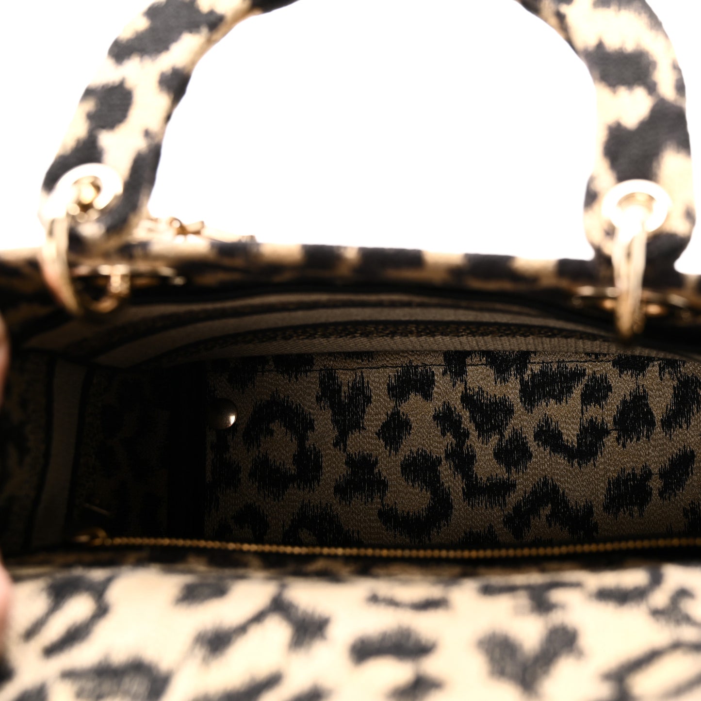 Canvas Medium Mizza Embroidered Lady D-Lite Beige Multicolor