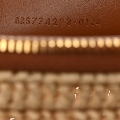 Saint Laurent Raffia Calfskin Gaby Crossbody Bag Natural Brick 7 of 10