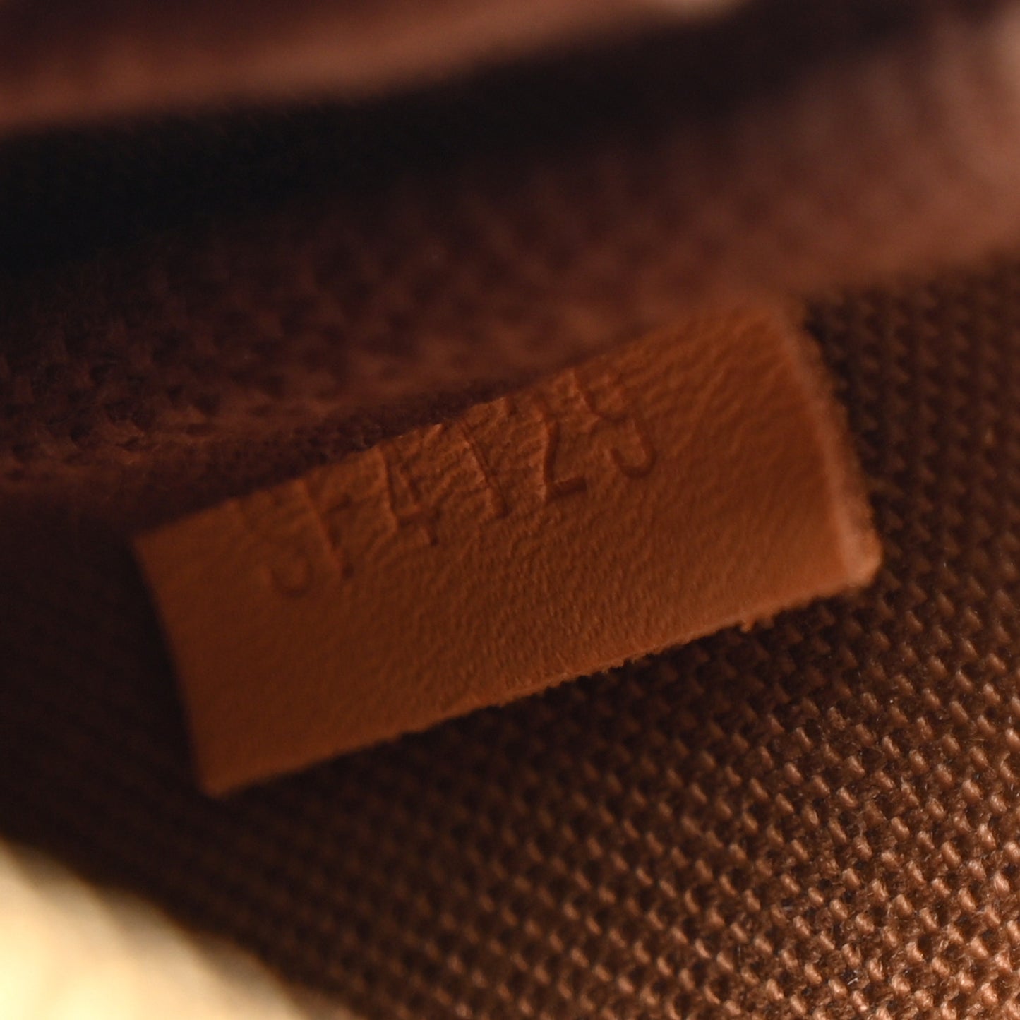 Monogram Mini Pochette Accessories