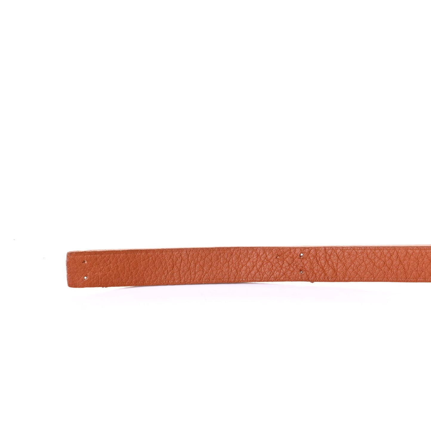 Goyardine Saint Louis GM Black Gold