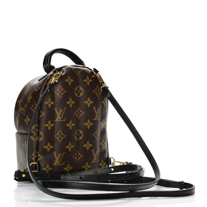 Louis Vuitton Monogram Palm Springs Backpack Mini 3 of 6