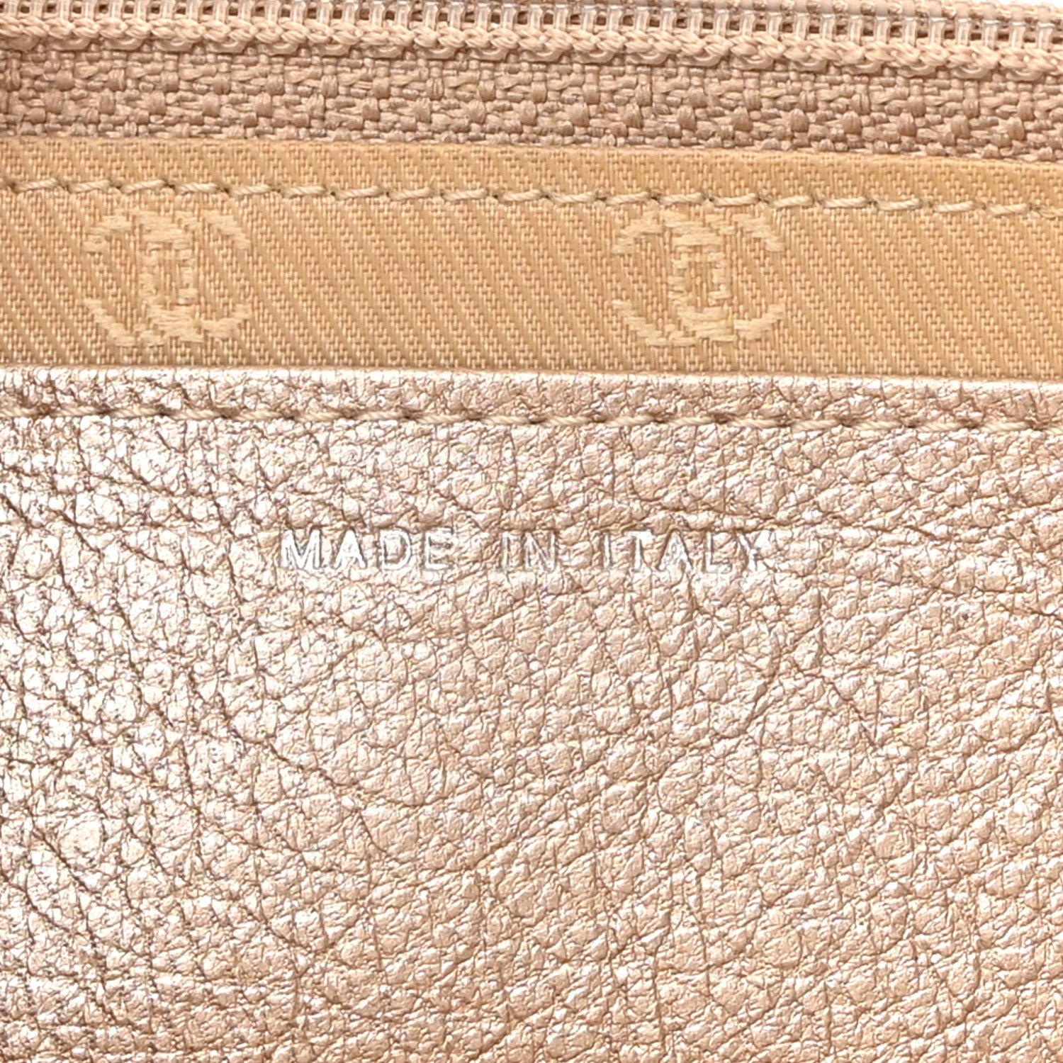 Chanel Metallic Goatskin Wallet On Chain WOC Gold 7 of 11