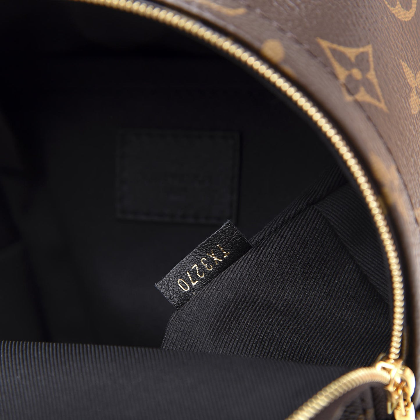 Monogram Palm Springs Backpack Mini
