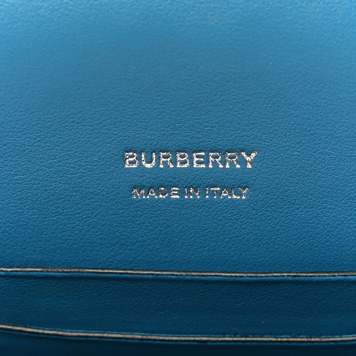 Grainy Calfskin TB Robin Bag Blue