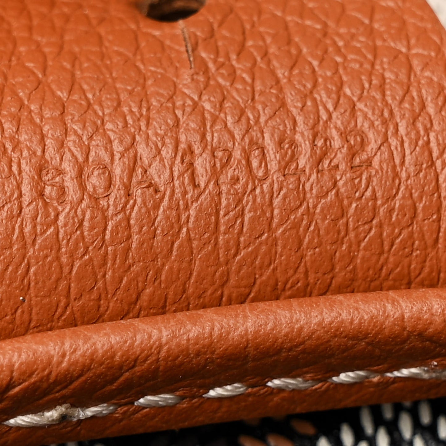 Goyardine Artois MM Black Gold