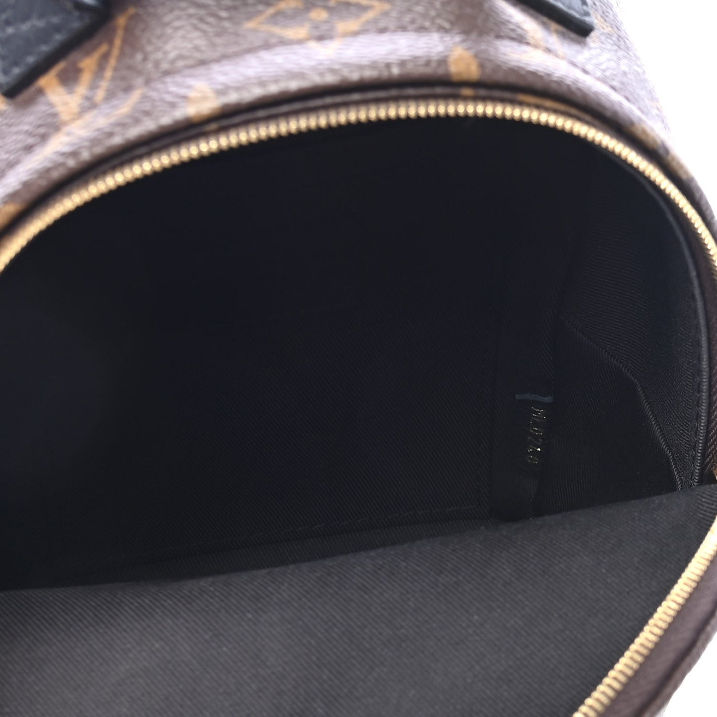 Monogram Palm Springs Backpack Mini