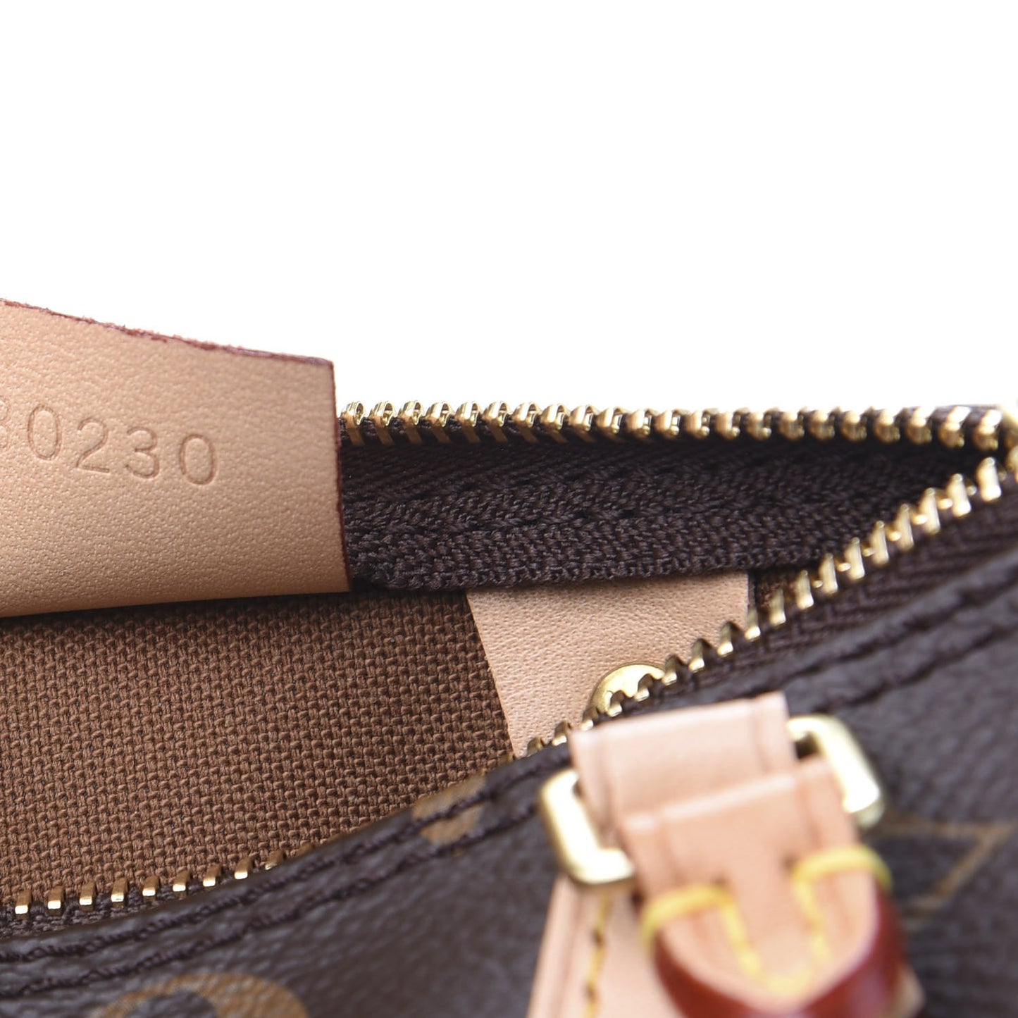 Monogram Nano Speedy