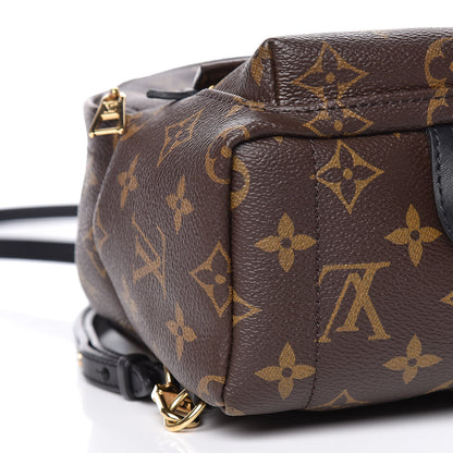 Louis Vuitton Monogram Palm Springs Backpack Mini 11 of 13