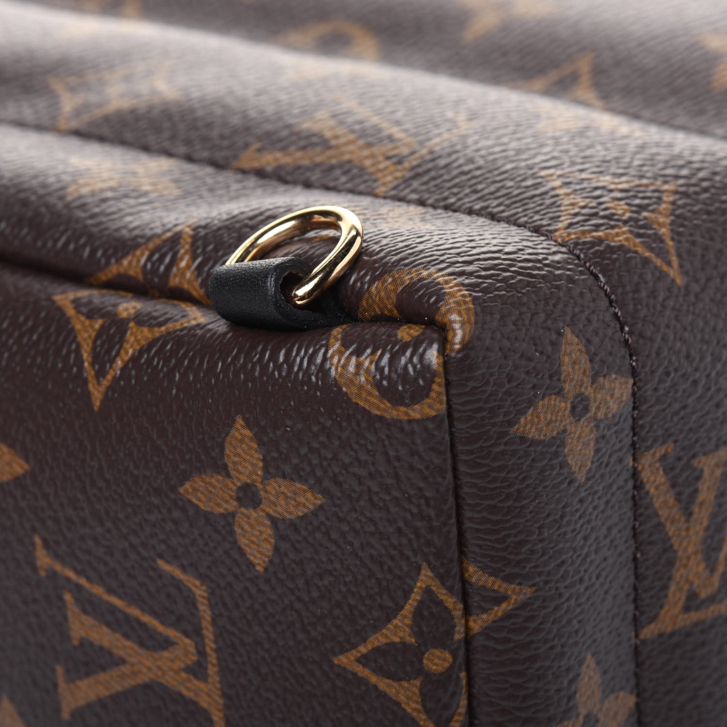 Monogram Palm Springs Backpack Mini