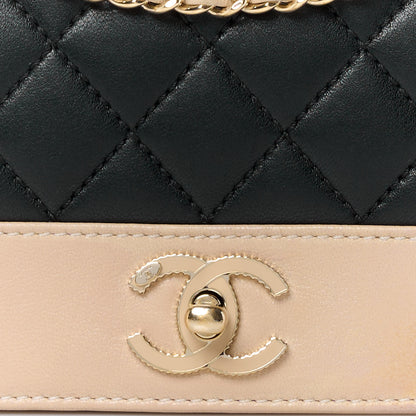 Chanel Sheepskin Quilted Small Vintage Mademoiselle Flap Beige Black 9 of 11