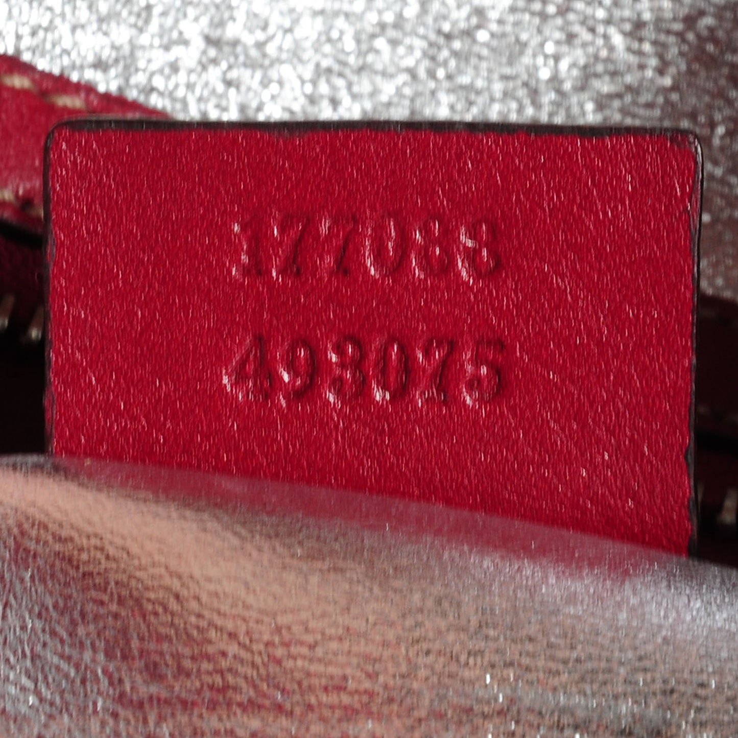 Python Large Indy Top Handle Hobo Red