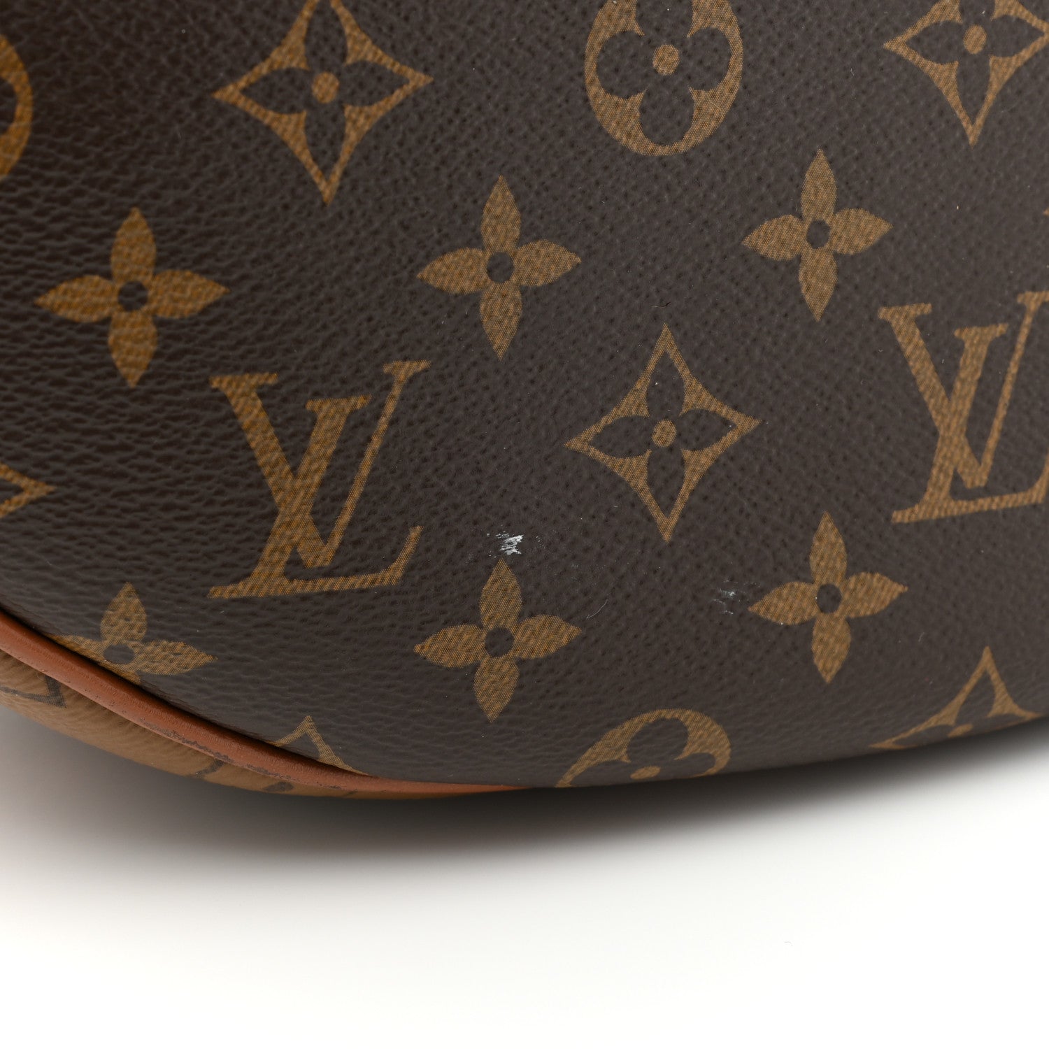 Louis Vuitton Reverse Monogram Loop Hobo 18 of 18