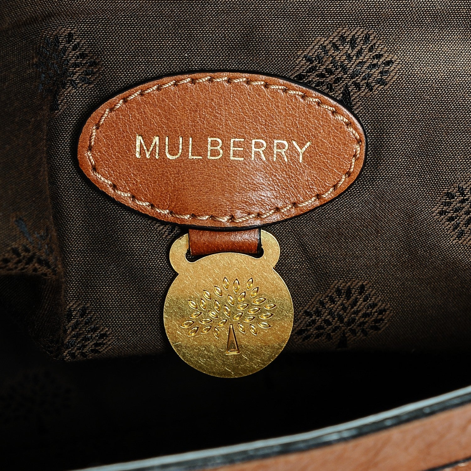 Mulberry Soft Buffalo Medium Alexa Oak 6 of 7