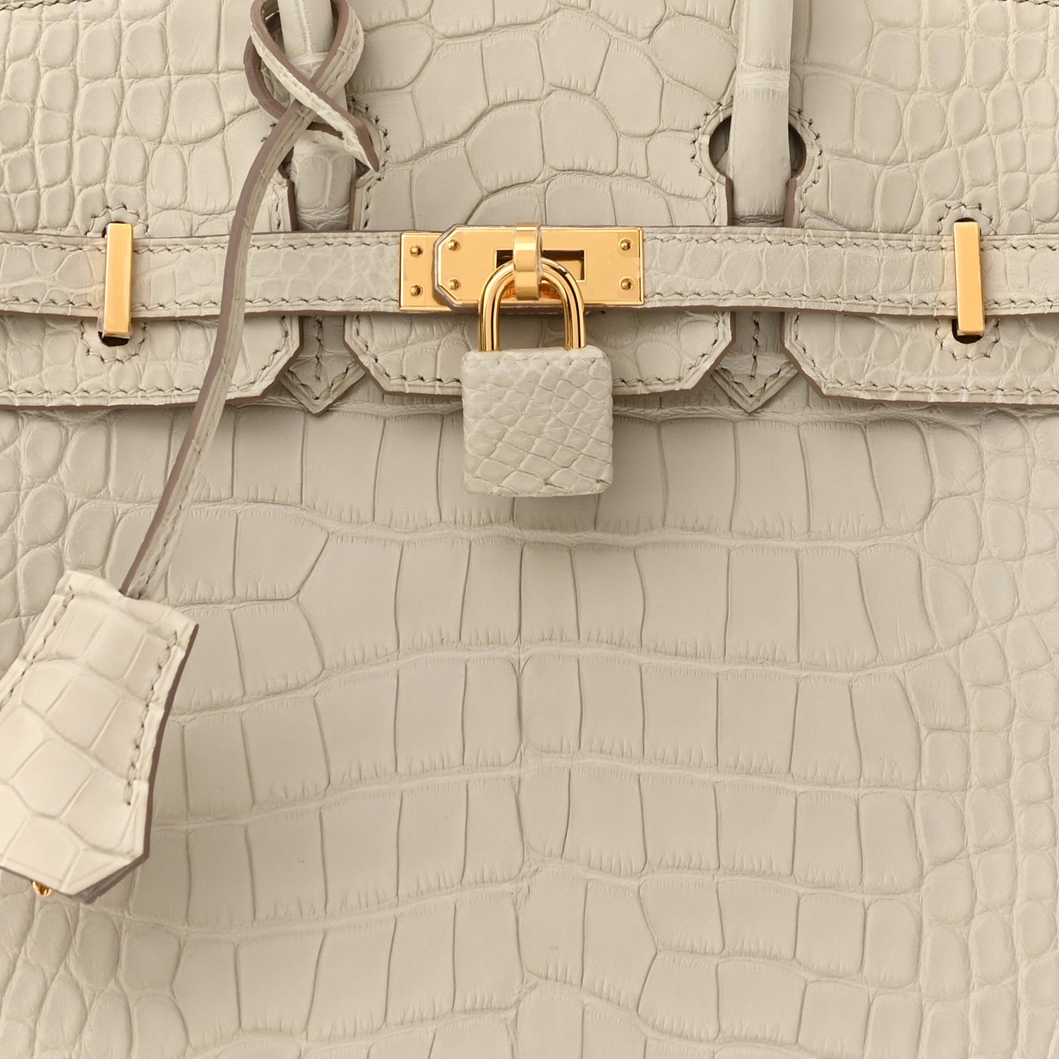 Hermes Matte Alligator Birkin 25 Beton 7 of 10