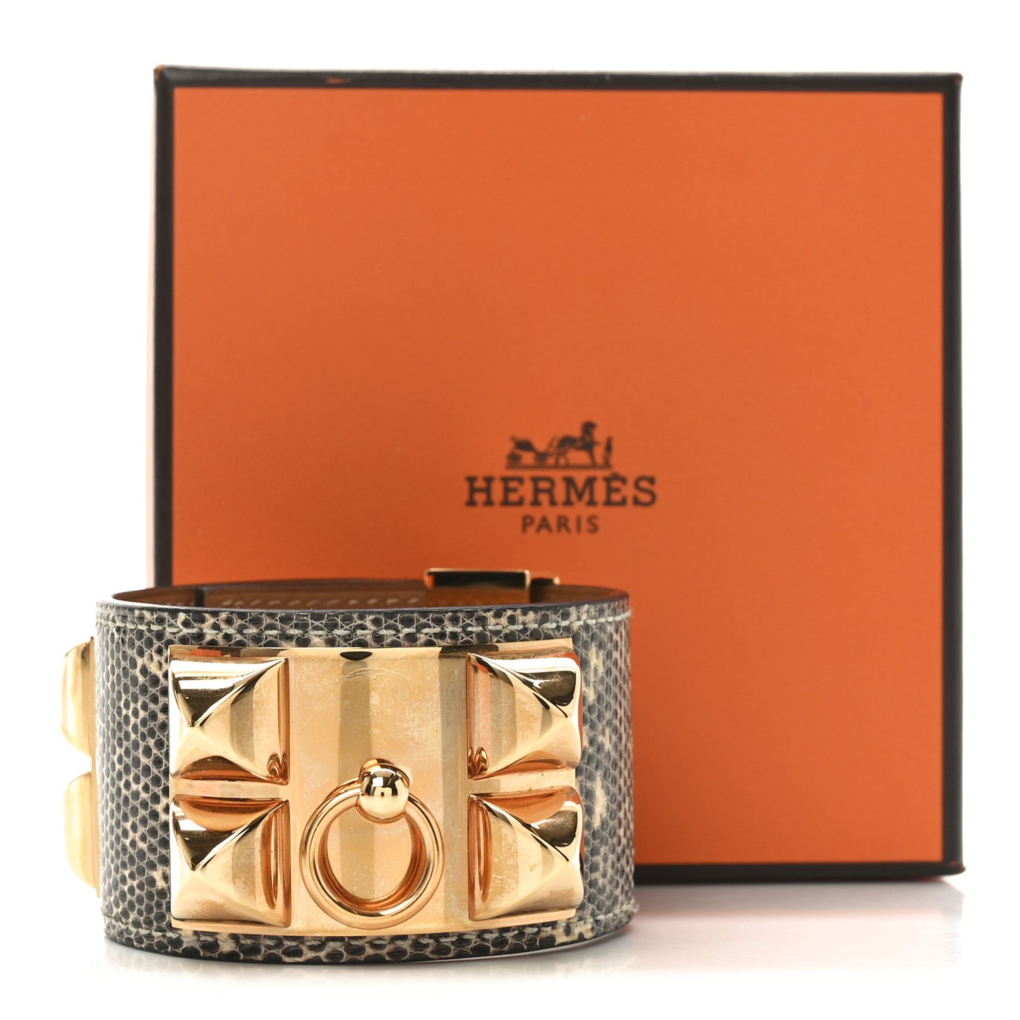Lizard Collier De Chien CDC Bracelet T2 Ombre