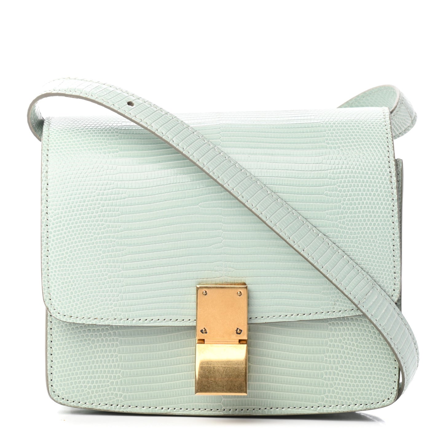 Lizard Small Classic Box Flap Bag Pastel Green