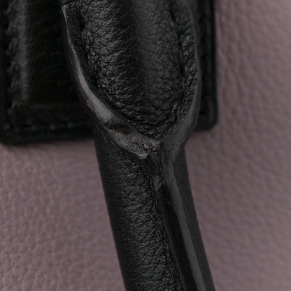 Loewe Calfskin Barroco Amazona 36 Lilac 11 of 12