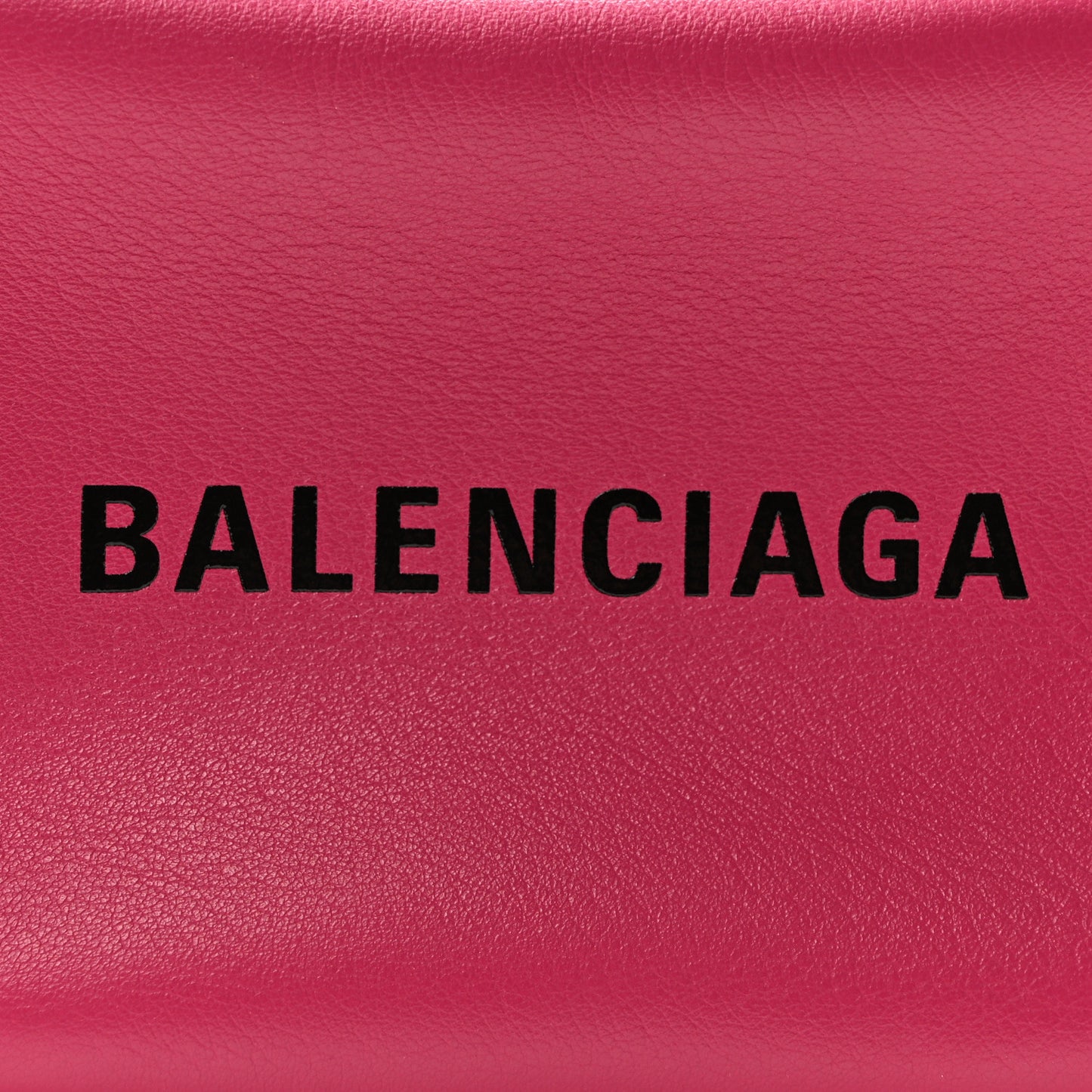 Calfskin Logo XS Everyday Camera Bag Rose Indien Black