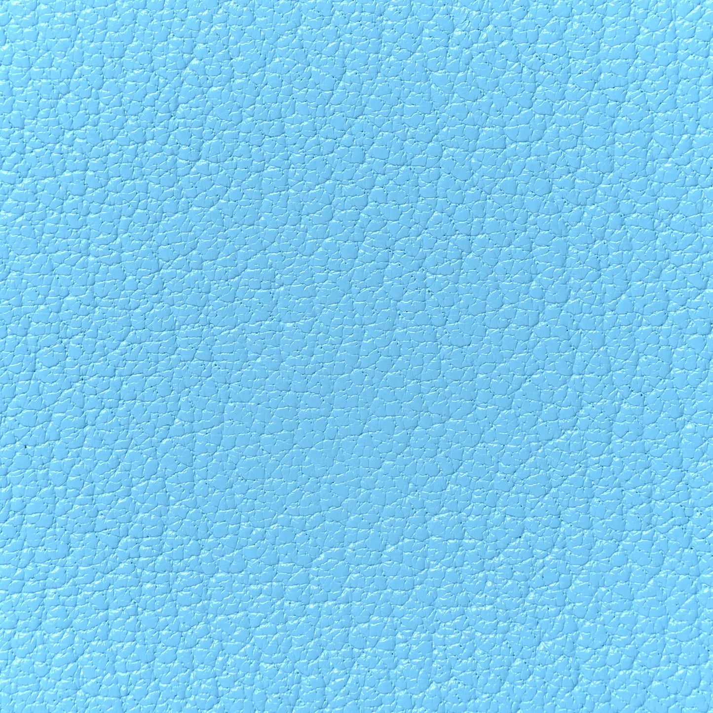 Chevre Mysore Verso Calvi Card Case Celeste Kraft