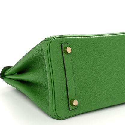 Hermes Togo Birkin 25 Vert Yucca 8 of 12