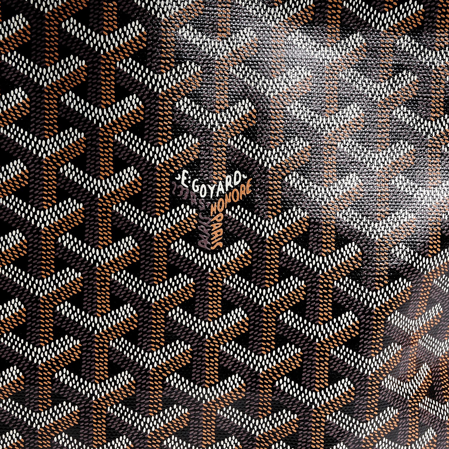 Goyard Goyardine Saint Louis PM Black 9 of 9