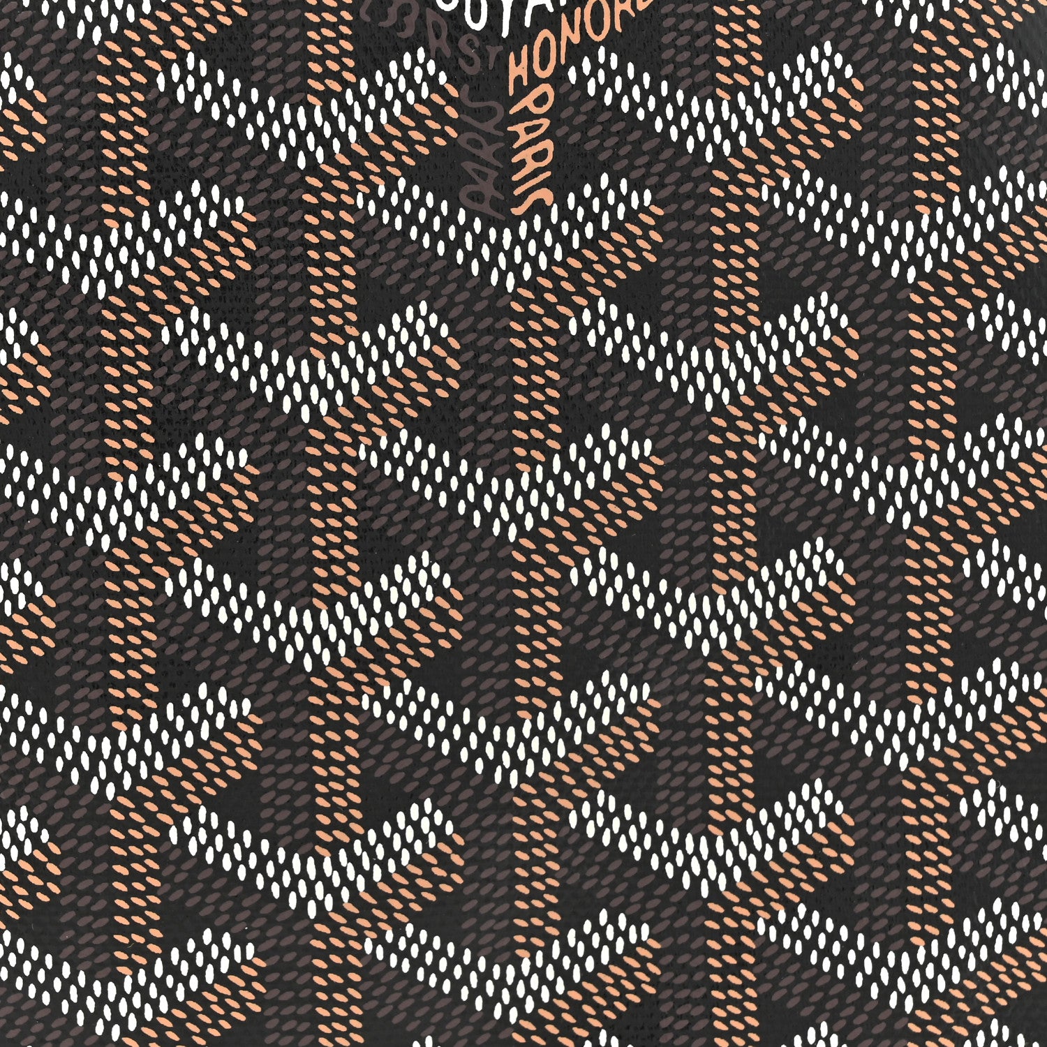 Goyard Goyardine Reversible Mini Anjou Black 13 of 18