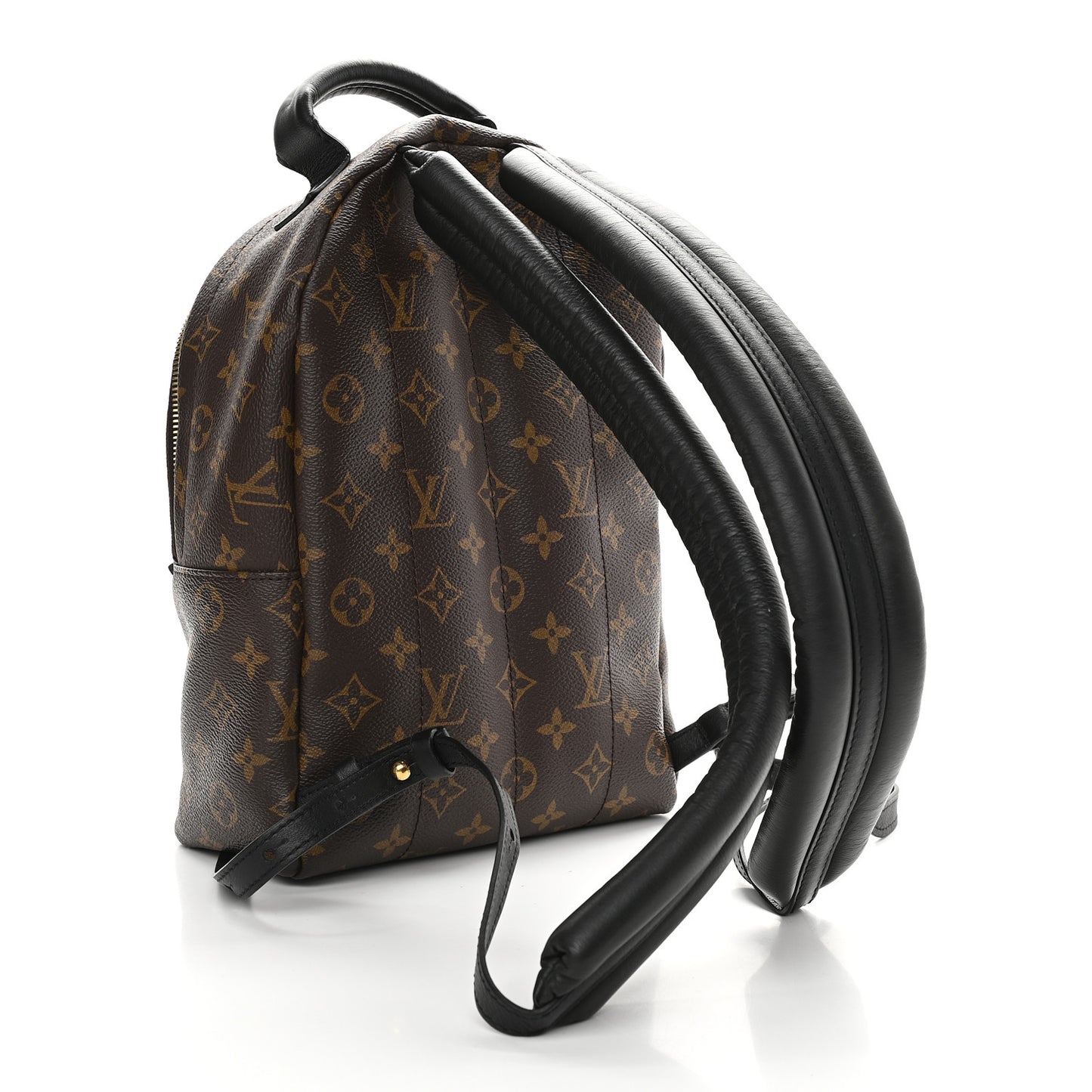 Monogram Palm Springs Backpack PM