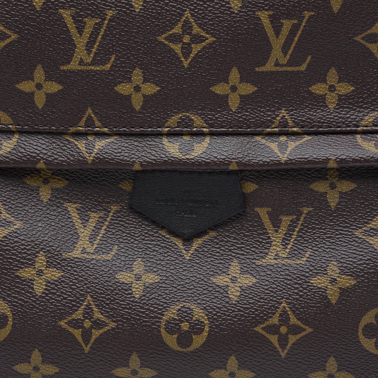 Monogram Palm Springs Backpack MM