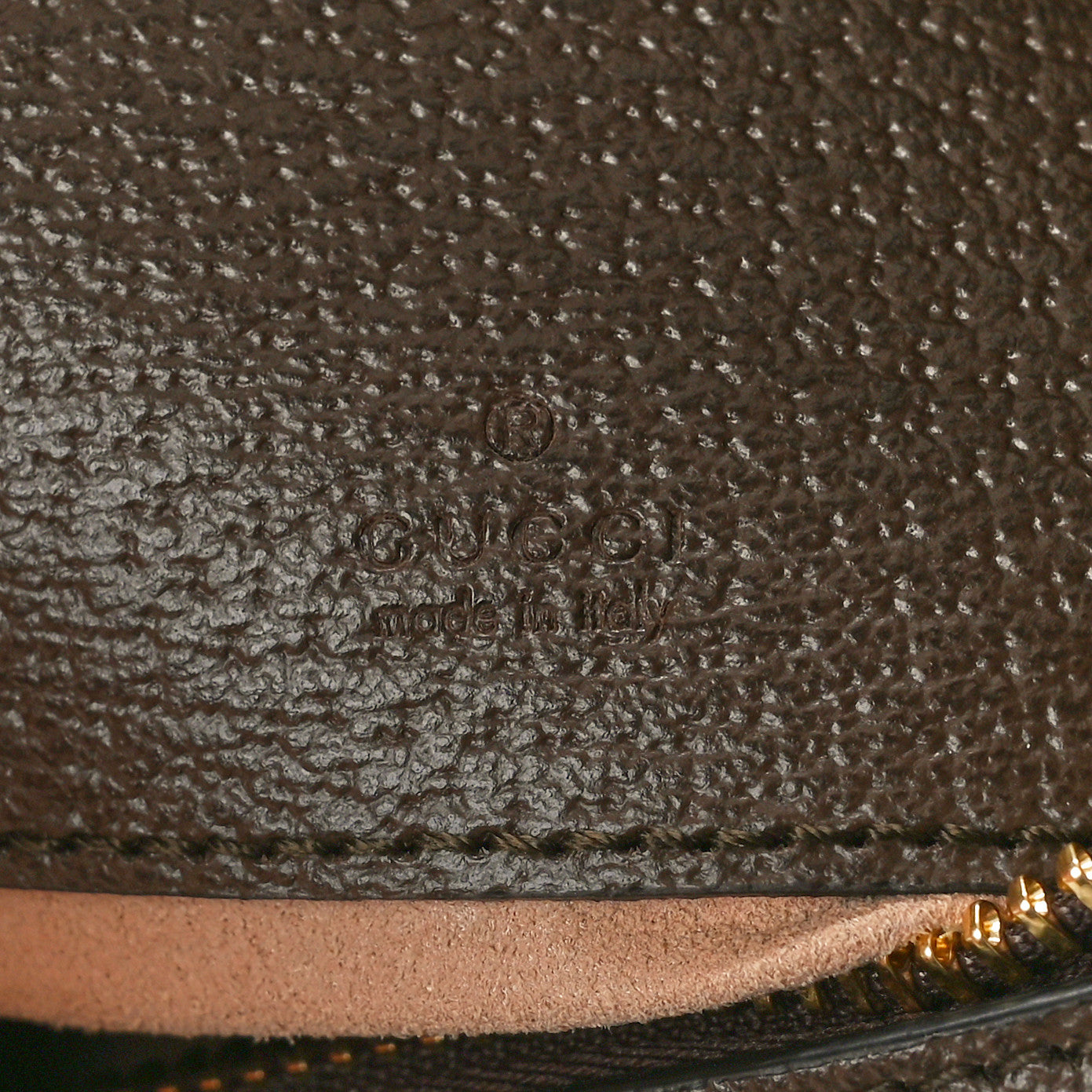 Monogram Jumbo GG Textured Dollar Calfskin Web Mini Ophidia Half Moon Hobo Camel Ebony New Acero