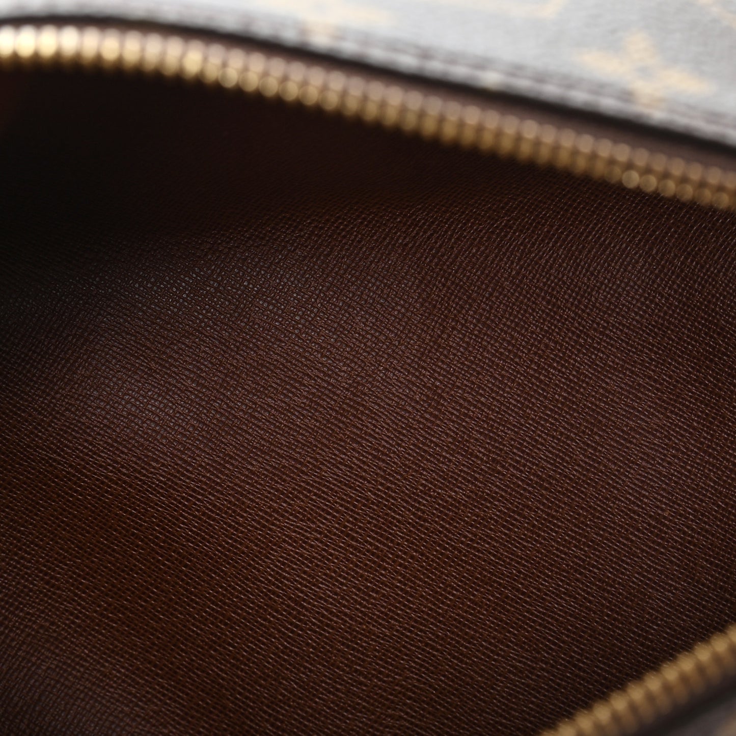 Monogram Papillon 30 with Companion