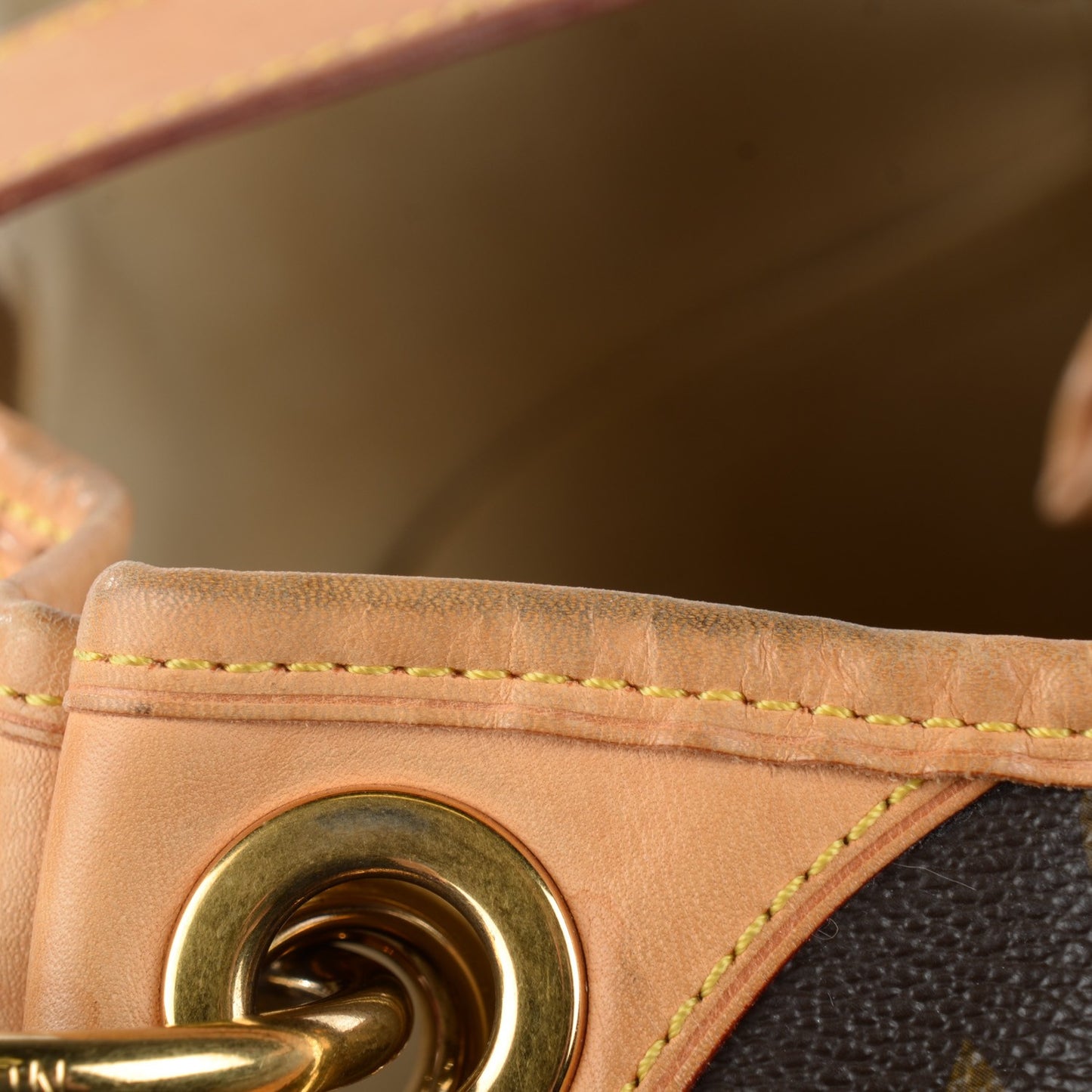 Monogram Galliera PM