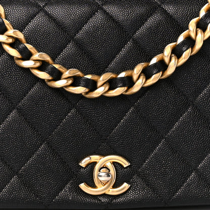Chanel Caviar Quilted Medium Fashion Therapy Flap Bag Black 9 of 12