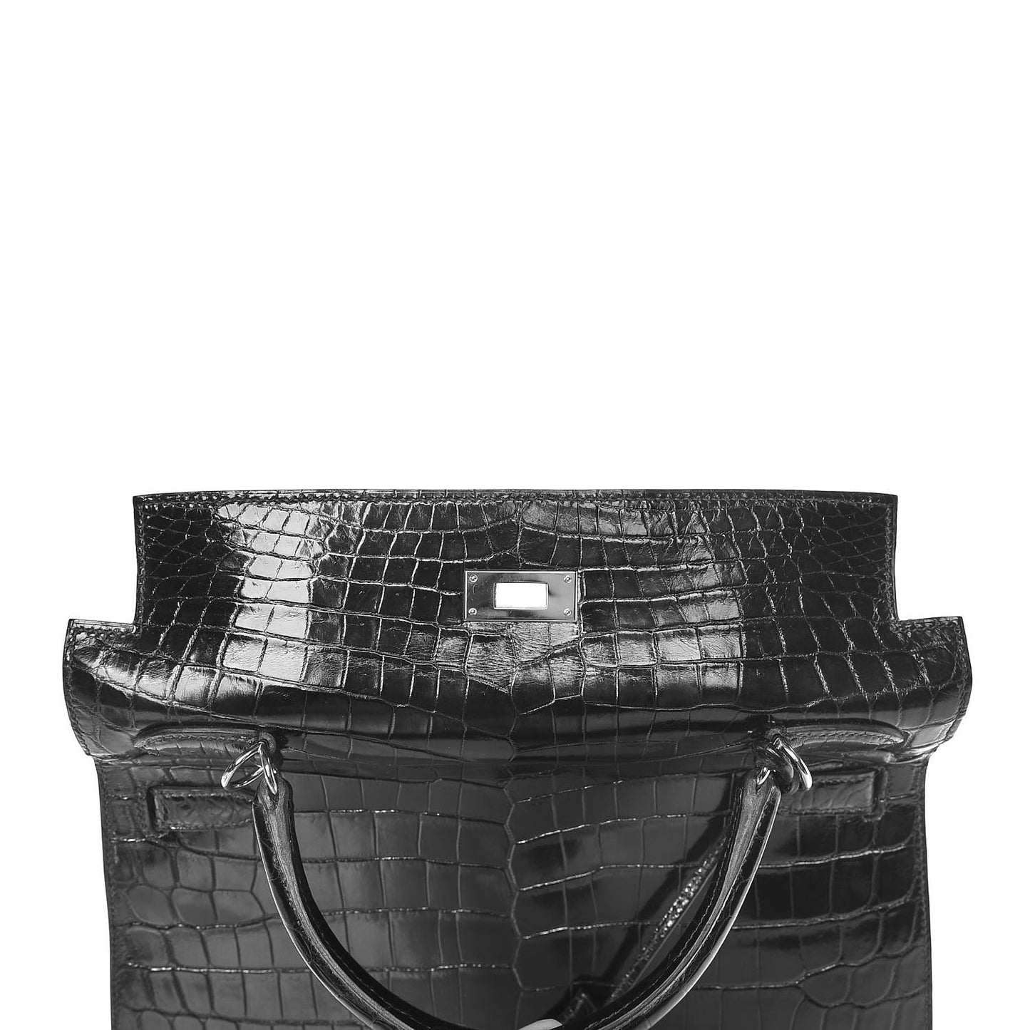Shiny Niloticus Crocodile Kelly Sellier 32