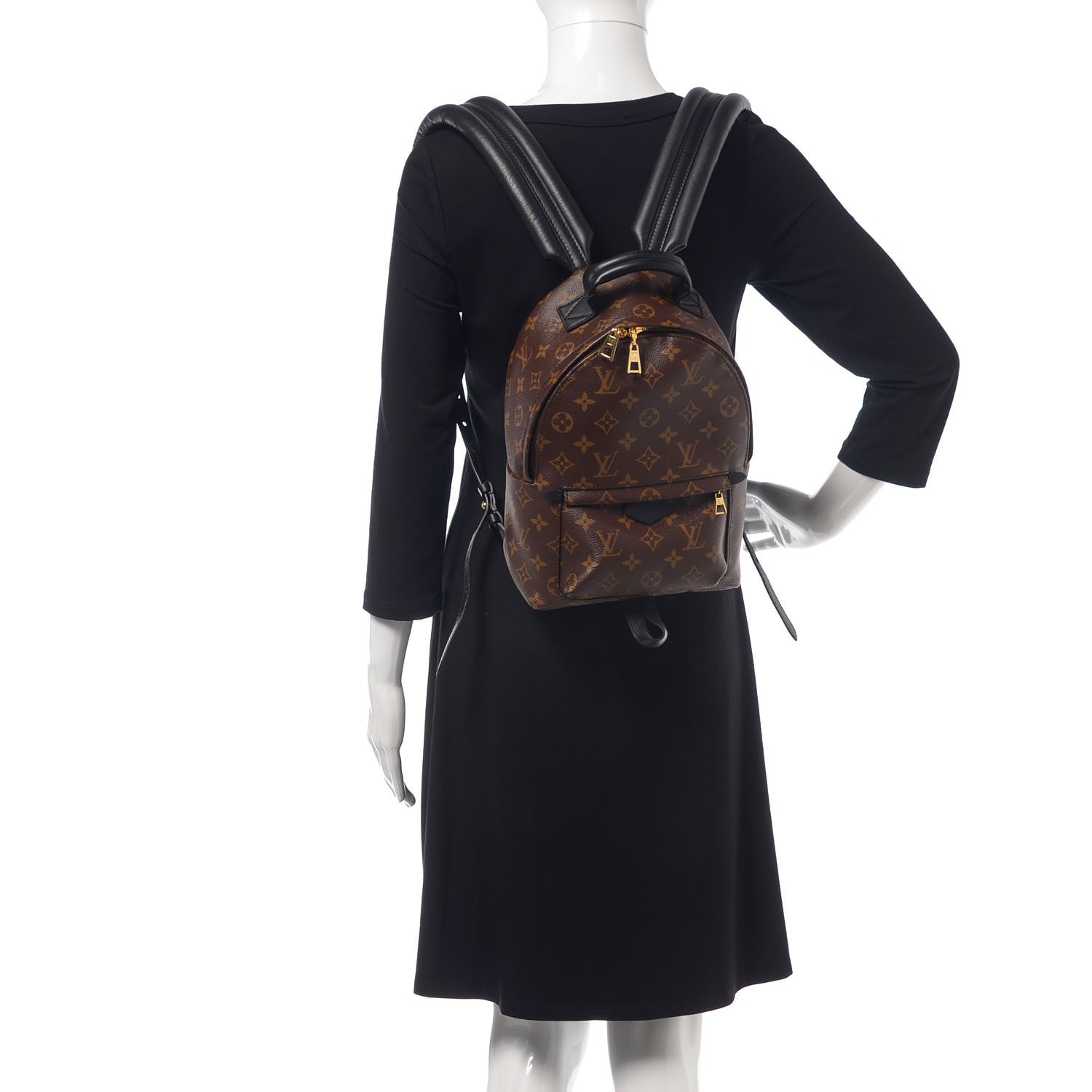 Louis Vuitton Monogram Palm Springs Backpack PM 2 of 9