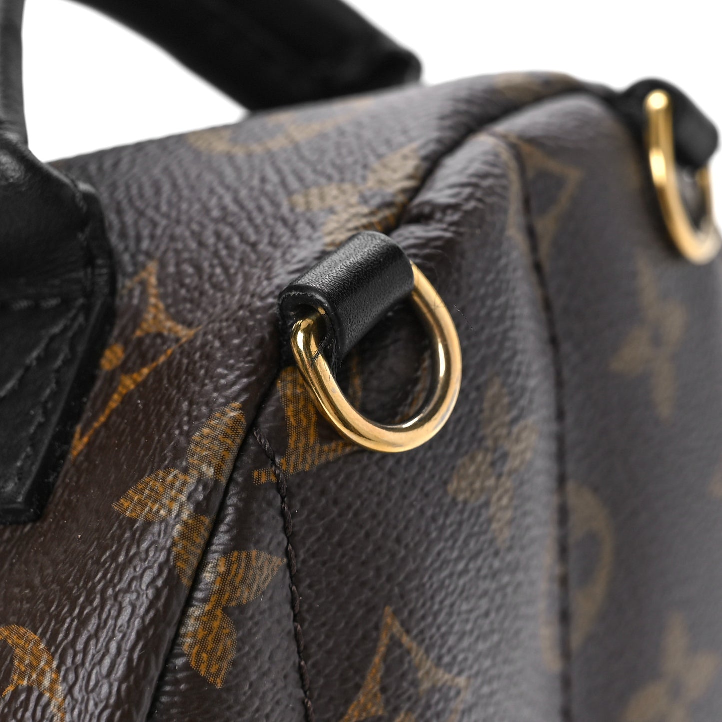 Monogram Palm Springs Backpack Mini