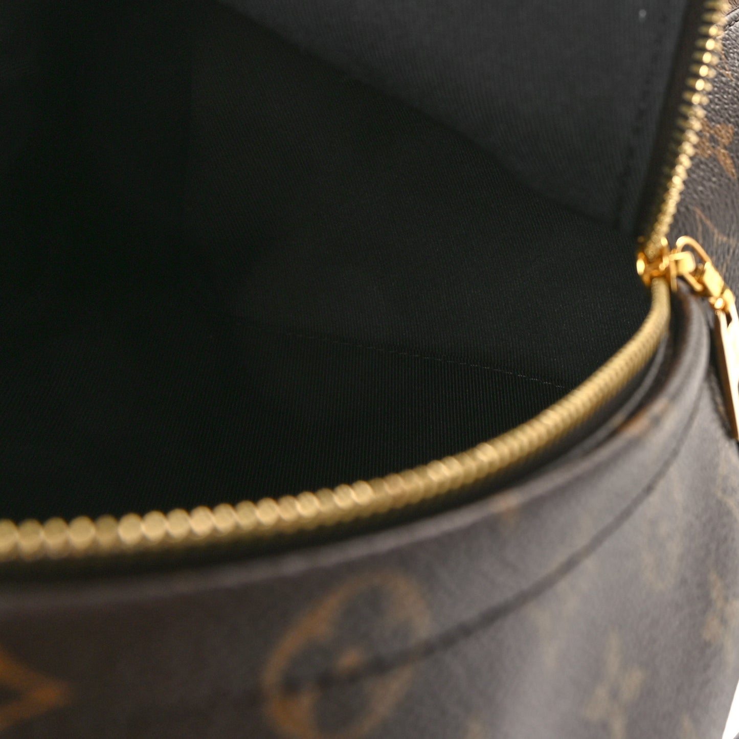 Reverse Monogram Palm Springs Backpack PM