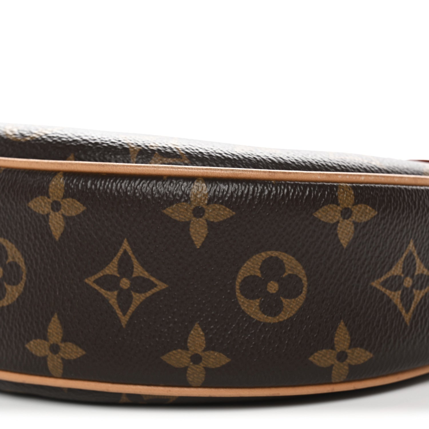 Louis Vuitton Monogram Loop 9 of 10