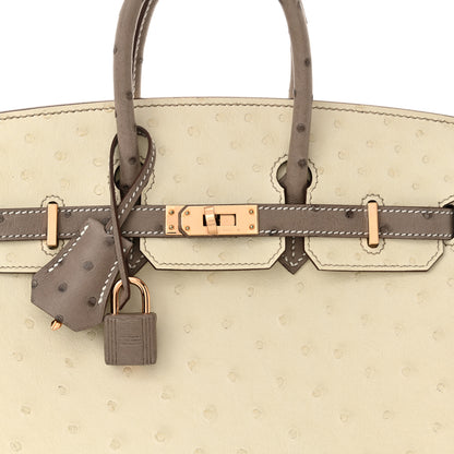 Hermes Ostrich Horseshoe Birkin 25 Beton Gris Tourterelle 7 of 10