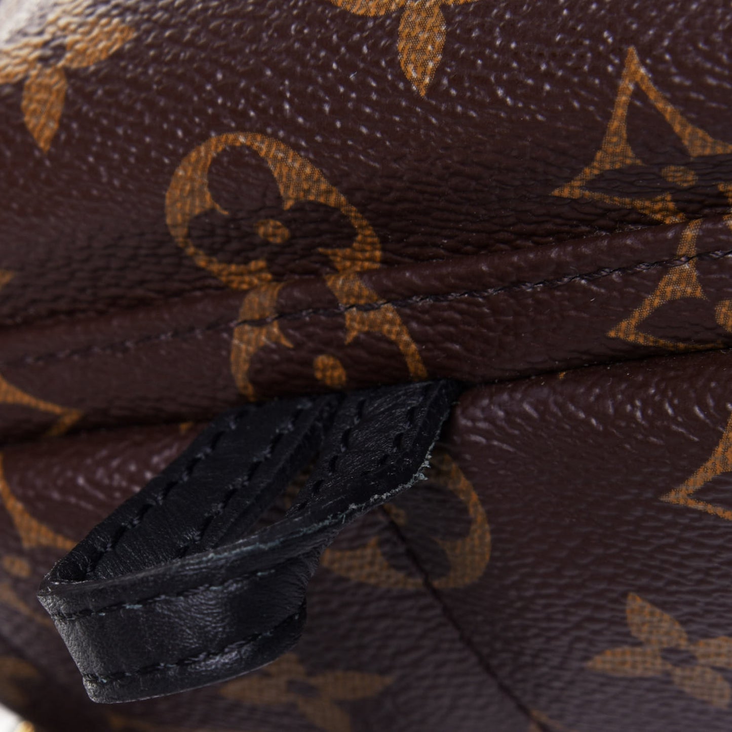 Monogram Palm Springs Backpack Mini