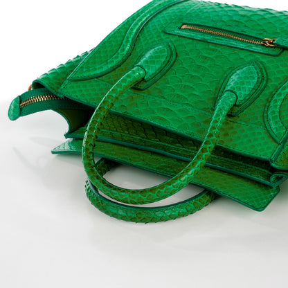 Celine Python Nano Luggage Grass Green 3 of 11