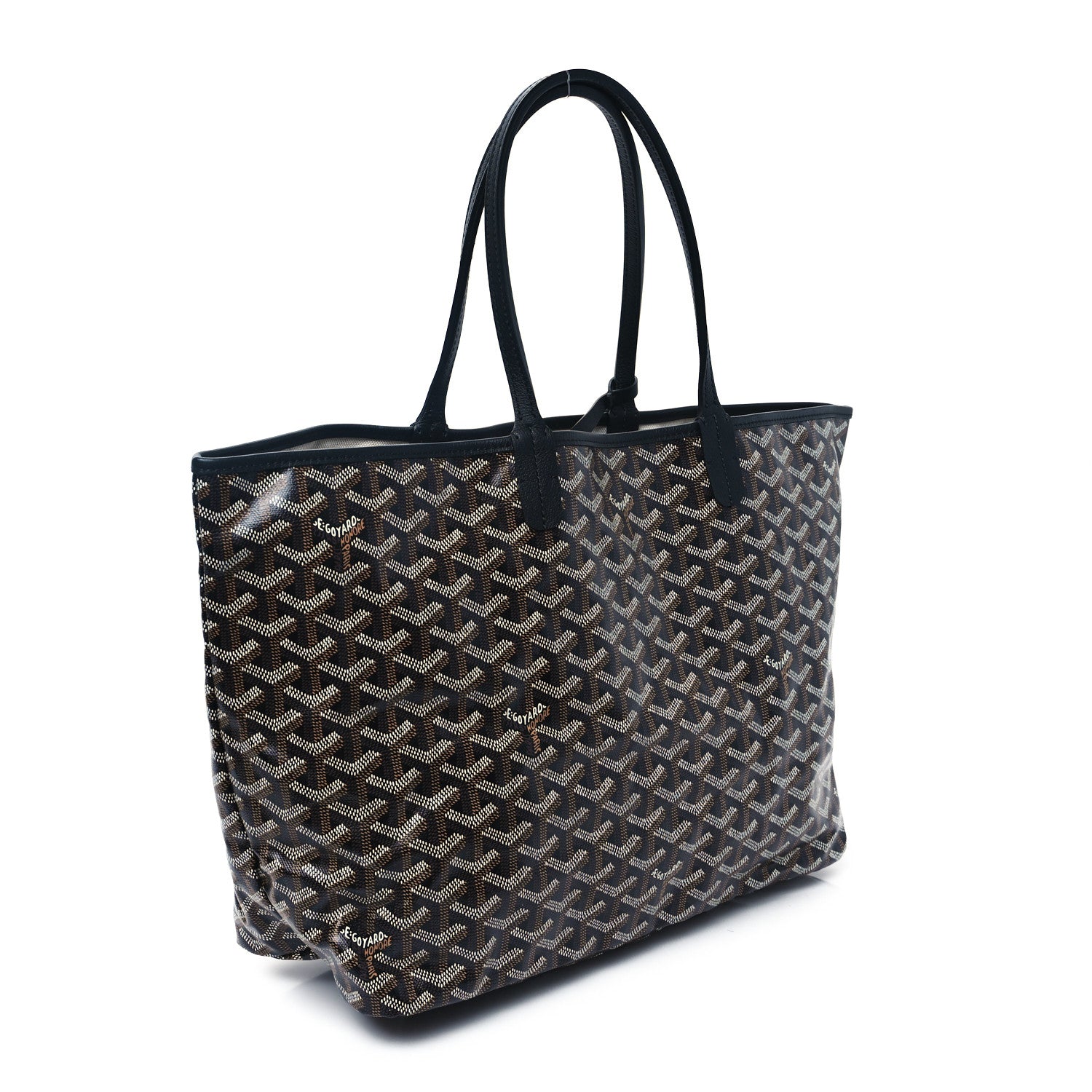 Goyard Goyardine Saint Louis PM Black 4 of 13