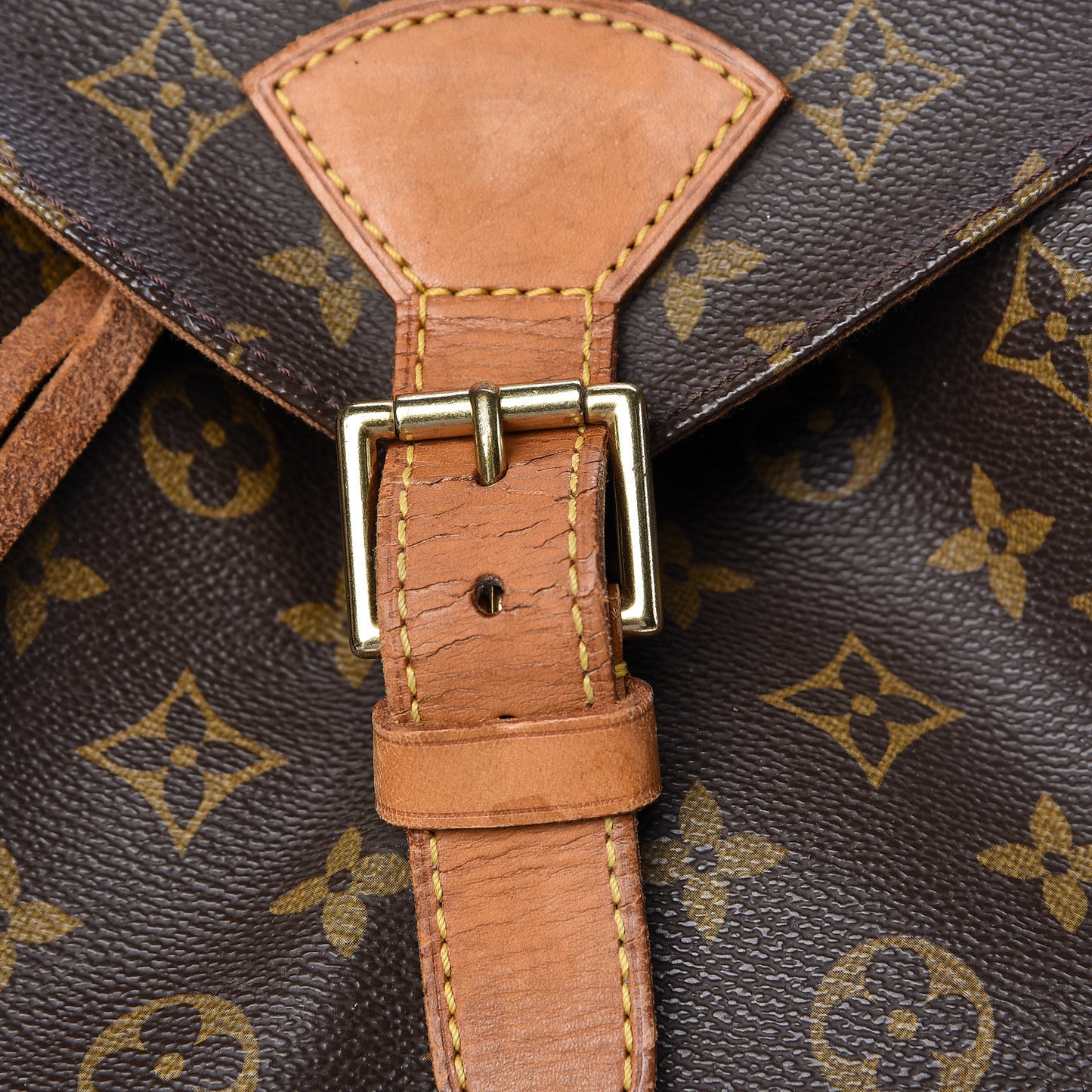 Monogram Montsouris GM Backpack