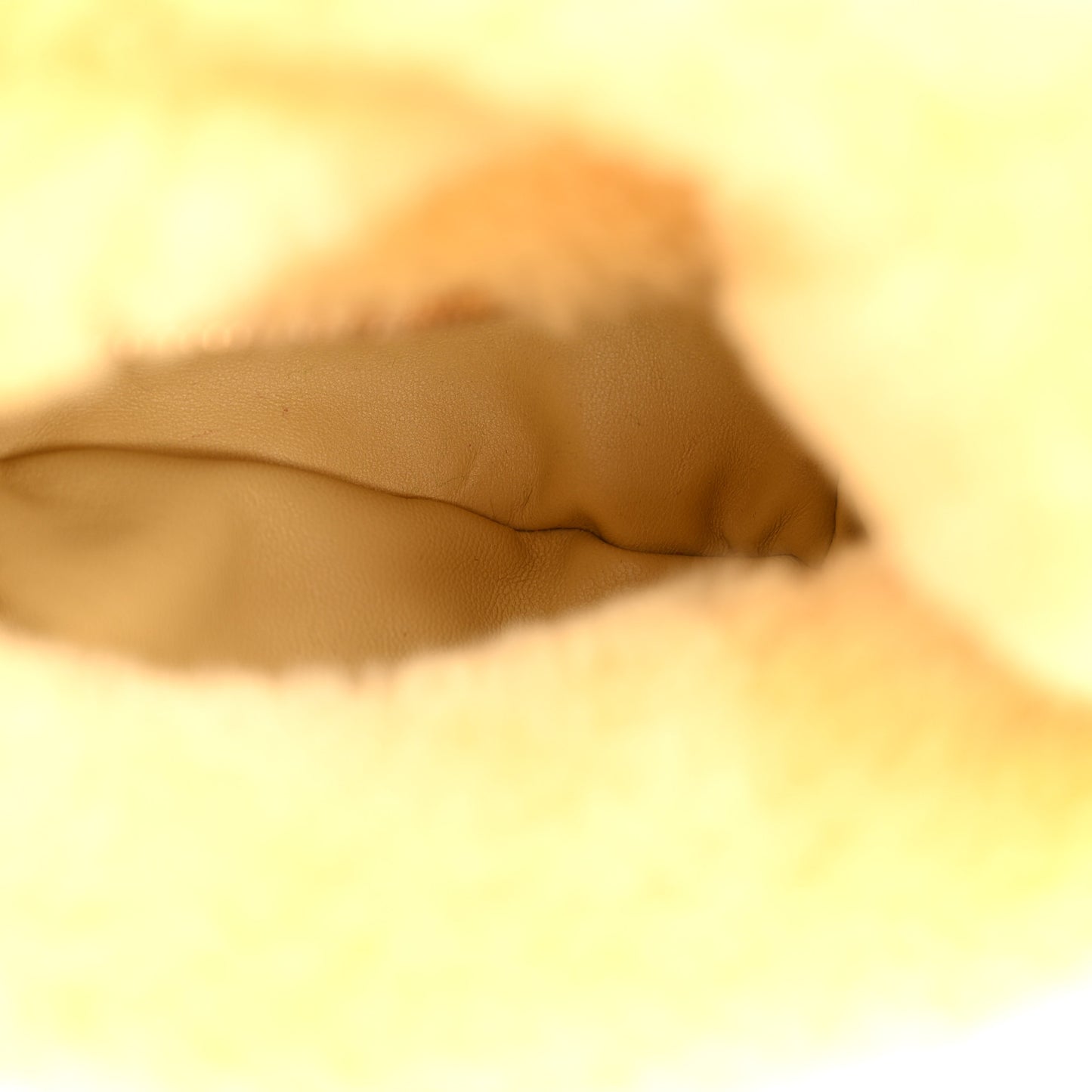 Shearling Lambskin Mini Jodie Teddy